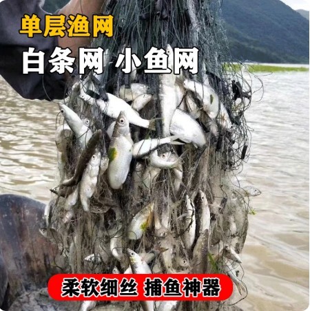 单层白条网粘鱼网沉网丝网渔网小鱼网穿餐条网浮网捕鱼6分7分三层